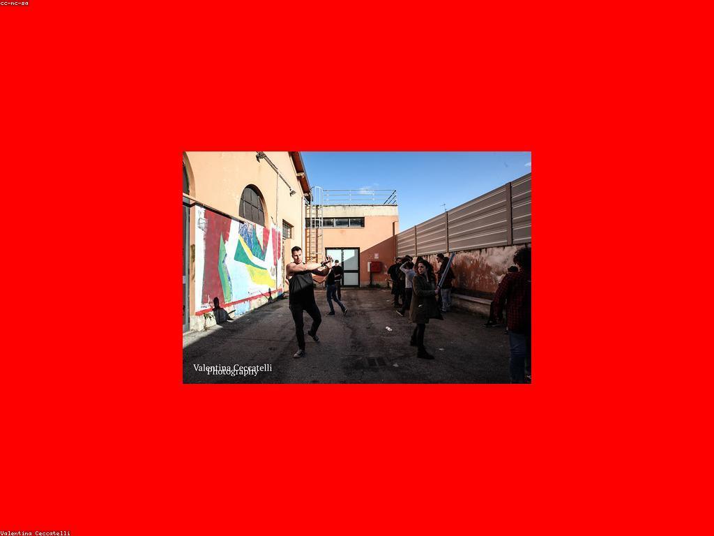 ααααααΆαα ααααααααΈα αα·αααΆαααΆαααααα